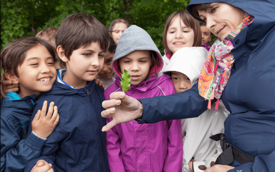 Enseignants : préparez vos séjours éducatifs à Mandres-les-Roses !