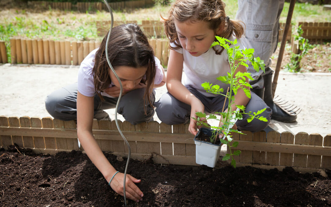 Le jardin pédagogique  : un véritable outil éducatif !