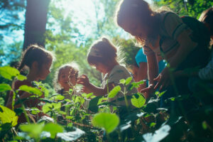 Les petits aventuriers de la nature
