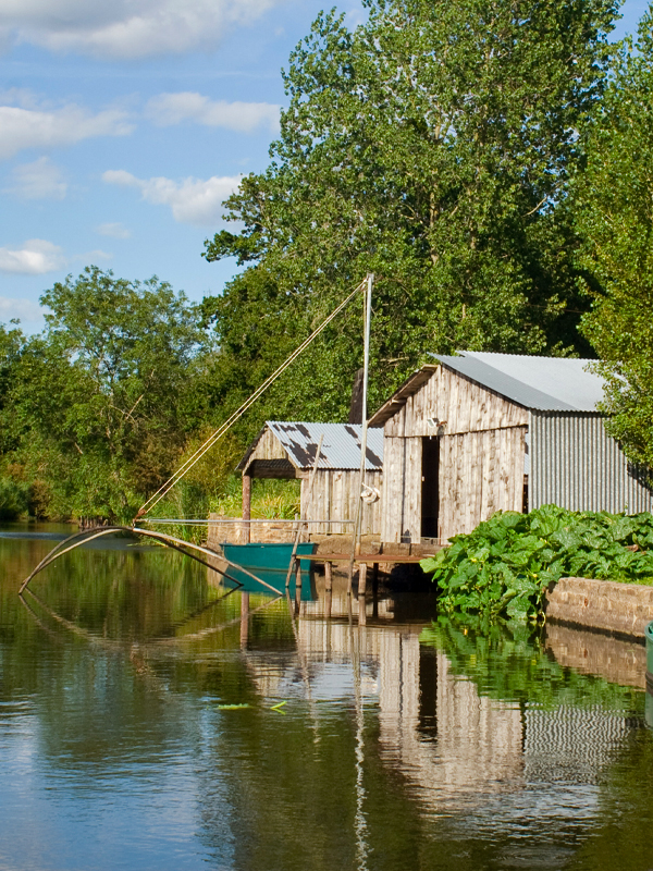 étangs de la Brière