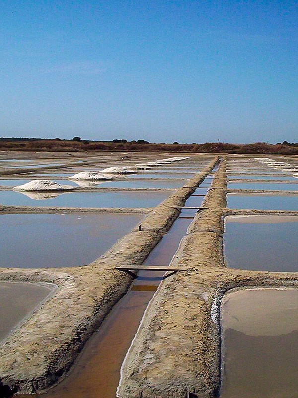 Marais salants